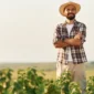 tecnologia-gestao-e-liquidez-os-3-pilares-do-credito-rural-moderno-no-agronegocio-brasileiro